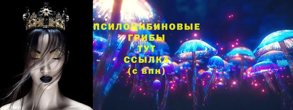 стафф Ступино