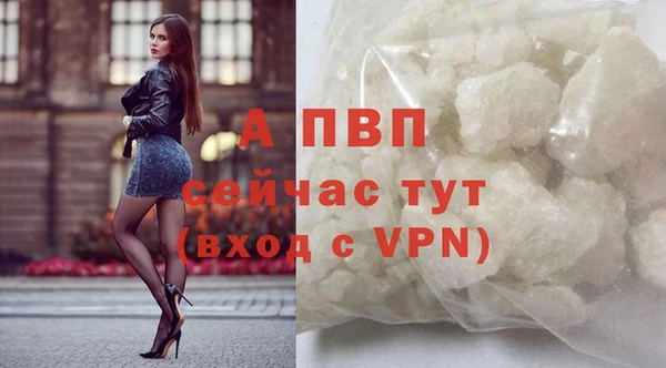mdpv Новодвинск