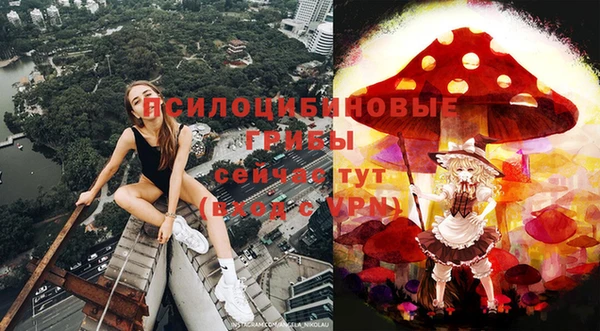 бошки Новокубанск