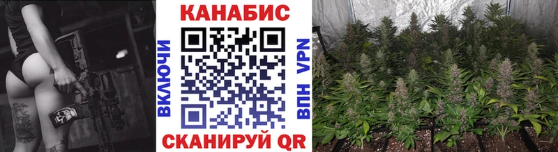 купить наркоту  Райчихинск  Конопля сатива 